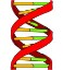 Breeding bacteria experiment