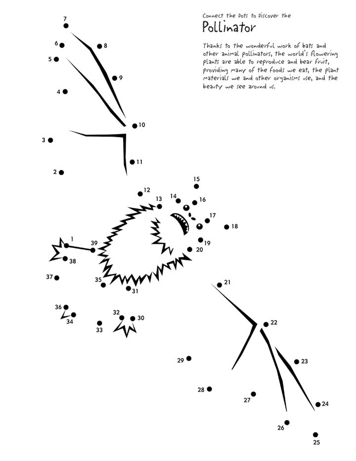 This flying bat is missing wings and a whole lot more, connect the dots and complete the picture.