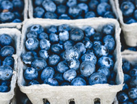 Blueberries