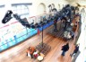 Diplodocus skeleton picture