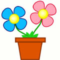 Grow a Plant Activity