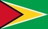 Guyana Flag