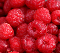 Raspberries