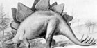 Stegosaurus facts for kids