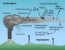 Volcanic Gases